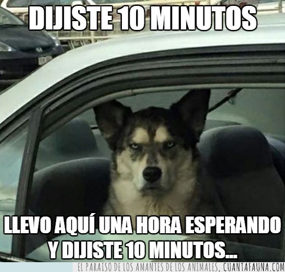 10,amargado,cabreado,coche,diez,enfadado,esperando,esperar,hora,husky,minutos,perro